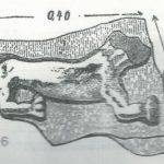Maoz 1995: plate 84 fig. 6, courtesy of Zvi Maoz © <i> synagogues.kinneret.ac.il </i>
