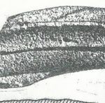 Maoz 1995: plate 69 fig. 1, courtesy of Zvi Maoz © <i> synagogues.kinneret.ac.il </i>