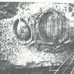 Maoz 1995: plate 11 fig. 2, courtesy of Zvi Maoz © <i> synagogues.kinneret.ac.il </i>