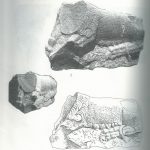 Maoz 1995: plate 71 fig. 1, courtesy of Zvi Maoz © <i> synagogues.kinneret.ac.il </i>