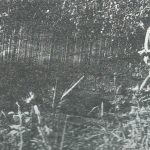 Maoz 1995: plate 109 fig. 3, courtesy of Zvi Maoz © <i> synagogues.kinneret.ac.il </i>