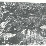 Maoz 1995: plate 111 fig. 2, courtesy of Zvi Maoz © <i> synagogues.kinneret.ac.il </i>