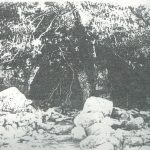 Maoz 1995: plate 77 fig. 2, courtesy of Zvi Maoz © <i> synagogues.kinneret.ac.il </i>