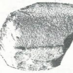 Maoz 1995: plate 19 fig. 5, courtesy of Zvi Maoz © <i> synagogues.kinneret.ac.il </i>