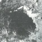 Maoz 1995: plate 15 fig. 2, courtesy of Zvi Maoz © <i> synagogues.kinneret.ac.il </i>