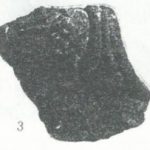 Maoz 1995: plate 22 fig. 3, courtesy of Zvi Maoz © <i> synagogues.kinneret.ac.il </i>