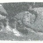 Maoz 1995, Plate 49 fig.1, Courtesy of Zvi Maoz © <i> synagogues.kinneret.ac.il </i>
