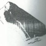 Maoz 1995: plate 20 fig. 3, courtesy of Zvi Maoz © <i> synagogues.kinneret.ac.il </i>