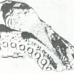 Maoz 1995: plate 20 fig. 2, courtesy of Zvi Maoz © <i> synagogues.kinneret.ac.il </i>