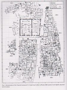 the 8086 processor's microcode pipeline from die... Capernaum - The Bornblum Eretz Israel Synagogues Website