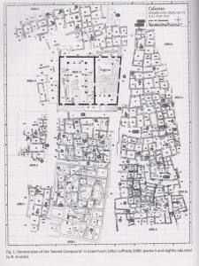 General plan Arubas and Talgam 2014: 238, courtesy of Benny Arubas © <i> synagogues.kinneret.ac.il </i>