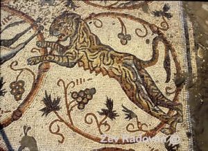 1257. DETAIL OF THE MOSAIC FLOOR OF THE 4TH. C. GAZA SYNAGOGUE DEPICTING A TIGRES © <i> synagogues.kinneret.ac.il </i>